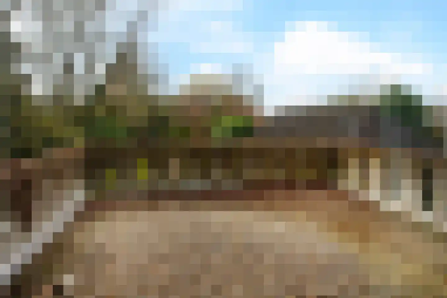 Wilhelminalaan 84 Reusel thumbnail 29
