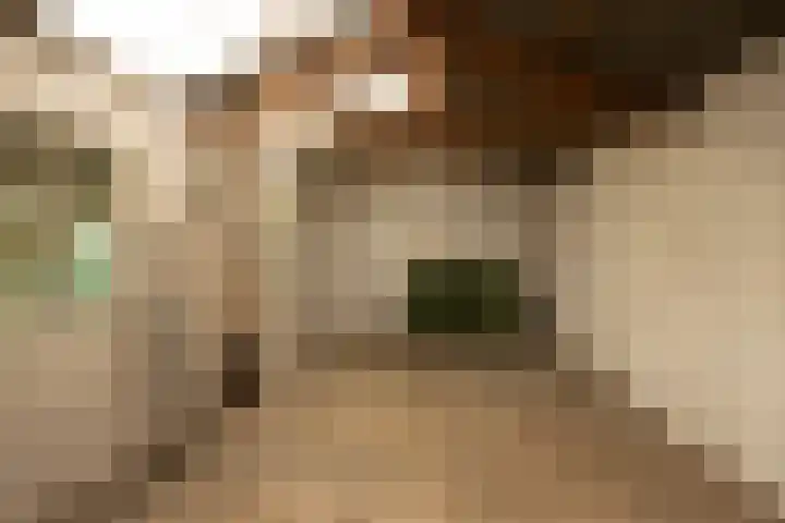 Wilhelminalaan 84 Reusel thumbnail 32