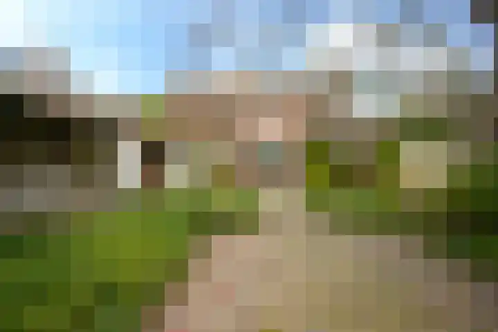 Wilhelminalaan 84 Reusel thumbnail 34