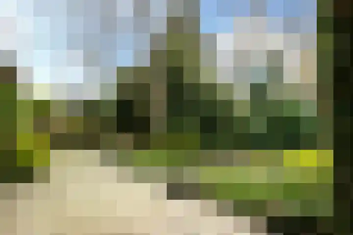 Wilhelminalaan 84 Reusel thumbnail 35