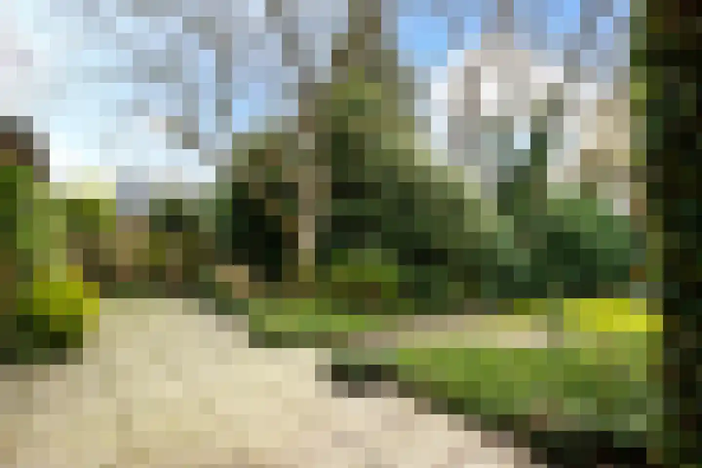Wilhelminalaan 84 Reusel thumbnail 35