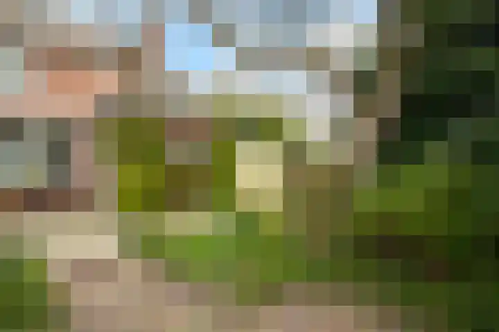 Wilhelminalaan 84 Reusel thumbnail 37