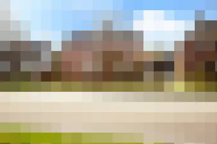Wilhelminalaan 84 Reusel thumbnail 42