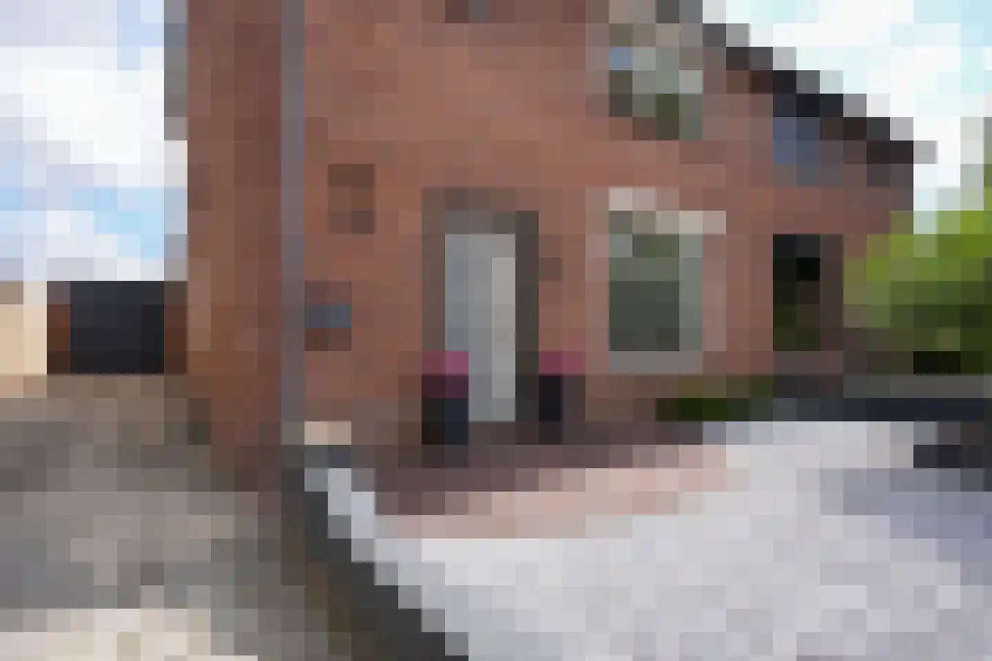 Wilhelminalaan 85 Echt thumbnail 33