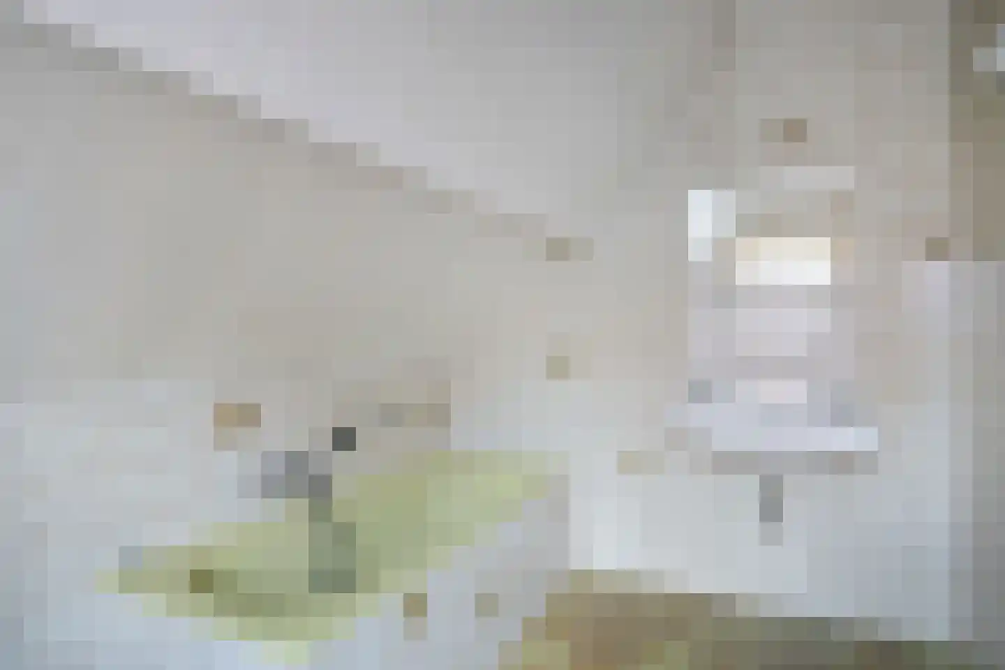Wilhelminalaan 86 Reusel thumbnail 22