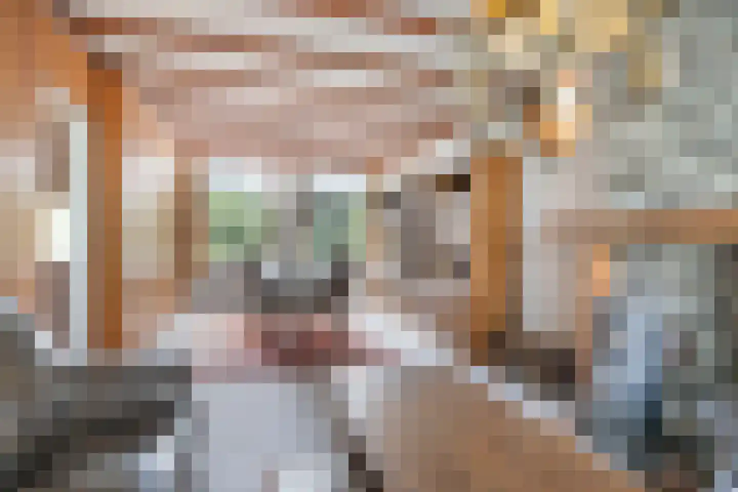 Wilhelminalaan 86 Reusel thumbnail 8