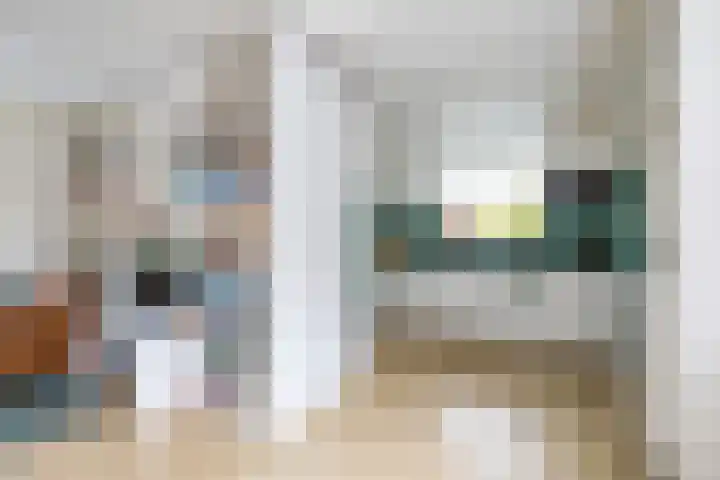 Wilhelminalaan 87 Baflo thumbnail 19