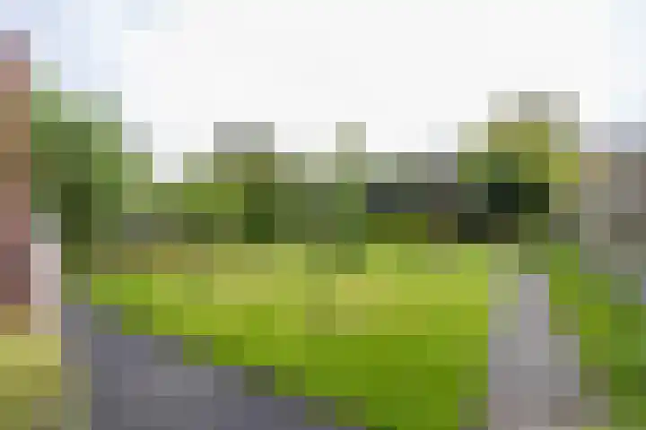 Wilhelminalaan 87 Baflo thumbnail 22