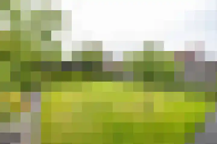 Wilhelminalaan 87 Baflo thumbnail 23