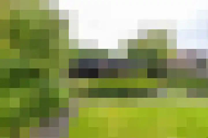 Wilhelminalaan 87 Baflo thumbnail 24