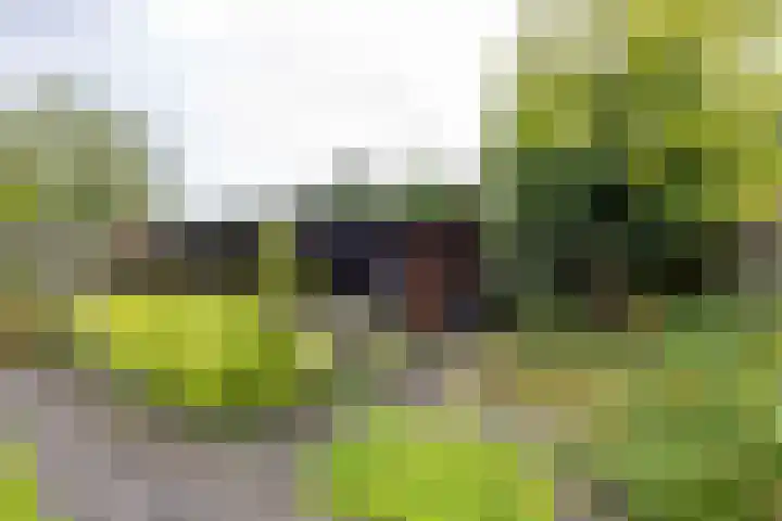 Wilhelminalaan 87 Baflo thumbnail 25