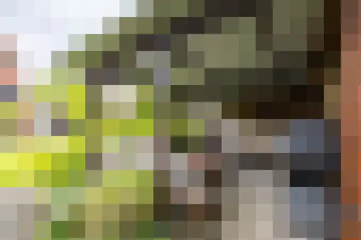 Wilhelminalaan 87 Baflo thumbnail 26