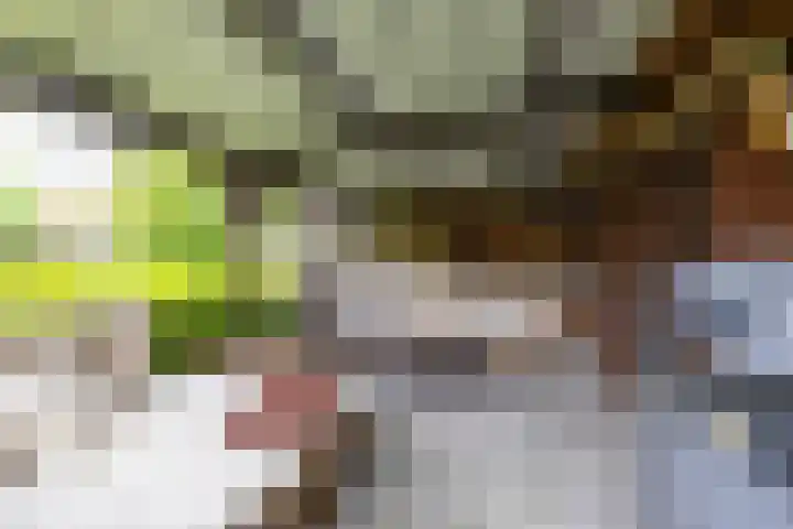 Wilhelminalaan 87 Baflo thumbnail 27