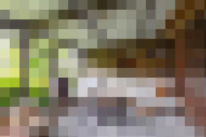 Wilhelminalaan 87 Baflo thumbnail 28