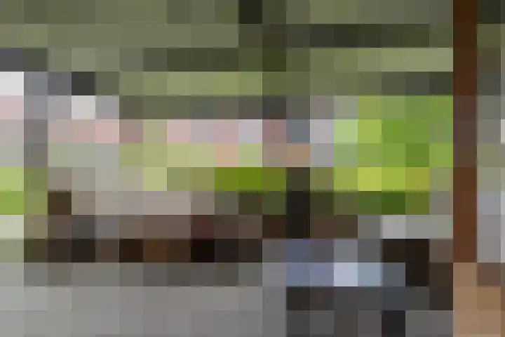 Wilhelminalaan 87 Baflo thumbnail 33