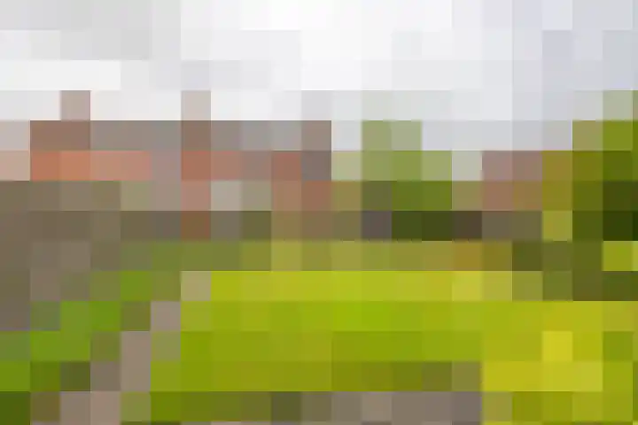 Wilhelminalaan 87 Baflo thumbnail 34