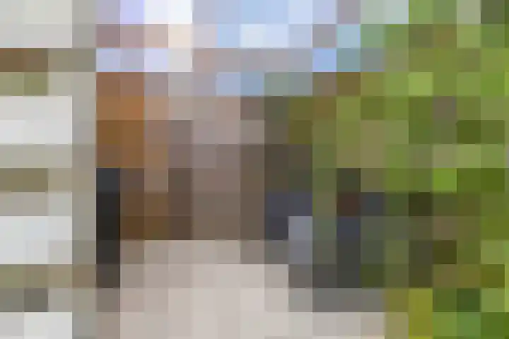 Wilhelminalaan 87 Baflo thumbnail 35