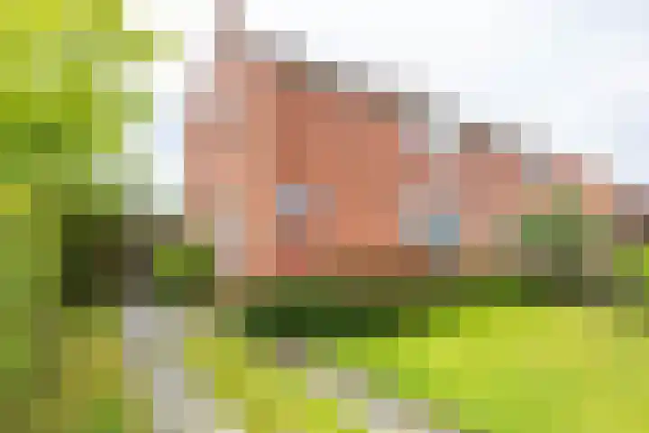 Wilhelminalaan 87 Baflo thumbnail 4