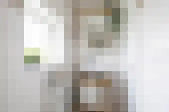 Wilhelminalaan 87 Baflo thumbnail 42