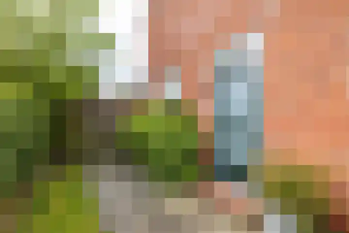 Wilhelminalaan 87 Baflo thumbnail 5