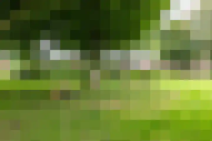 Wilhelminalaan 87 Baflo thumbnail 6