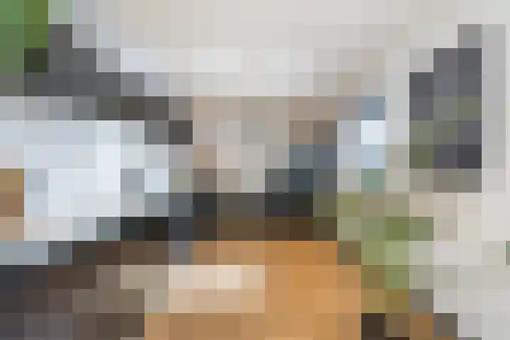 Wilhelminalaan 87 Echt thumbnail 17