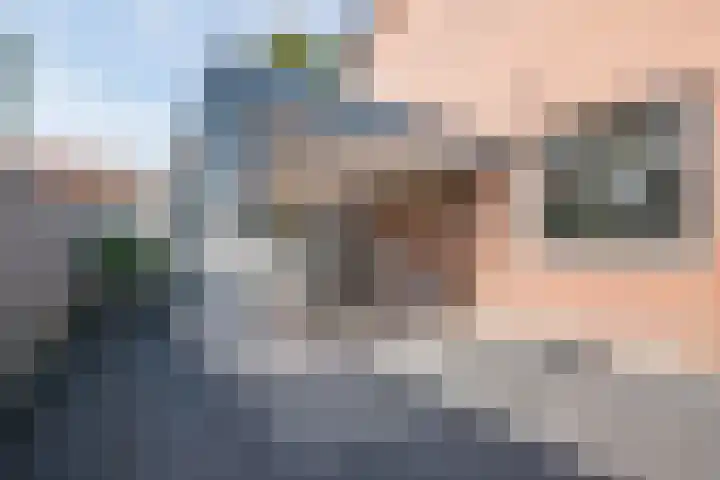 Wilhelminalaan 87 Echt thumbnail 29