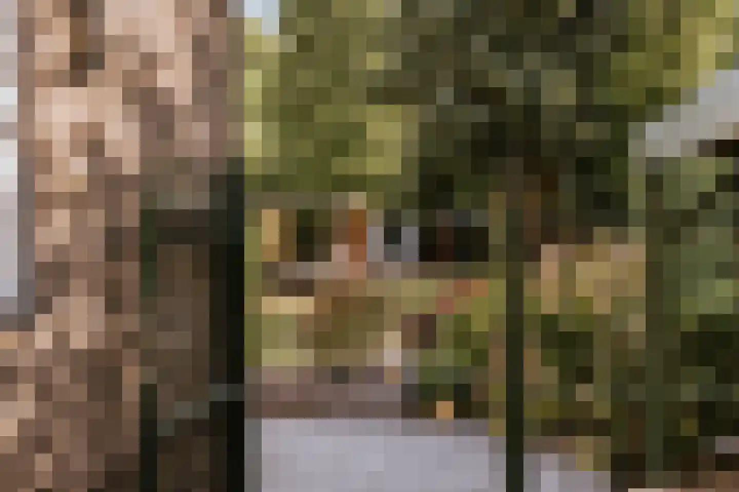 Wilhelminalaan 88 Roermond thumbnail 14