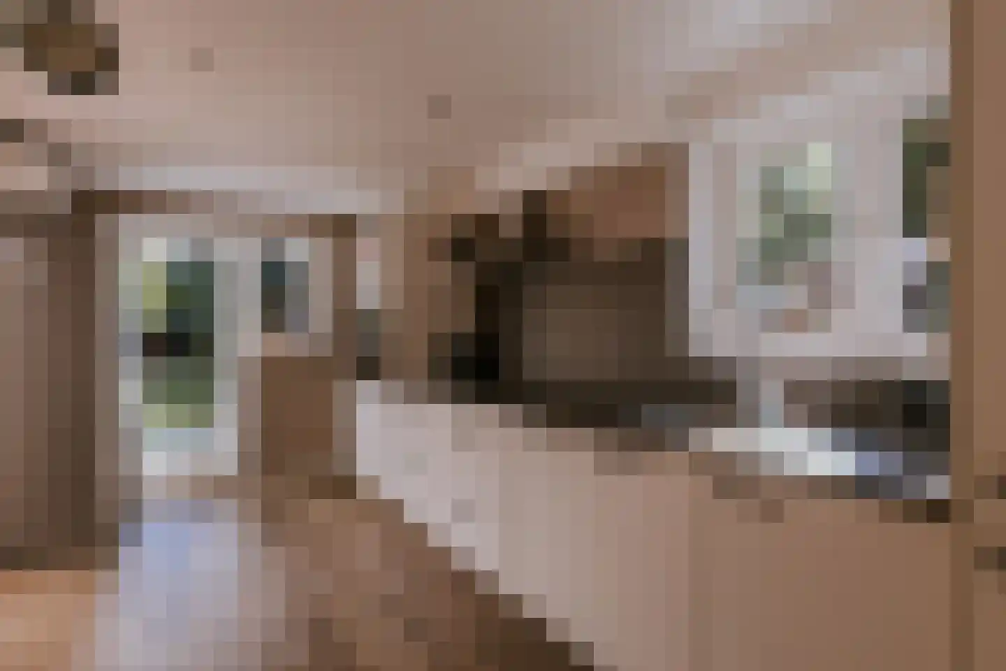 Wilhelminalaan 88 Roermond thumbnail 37