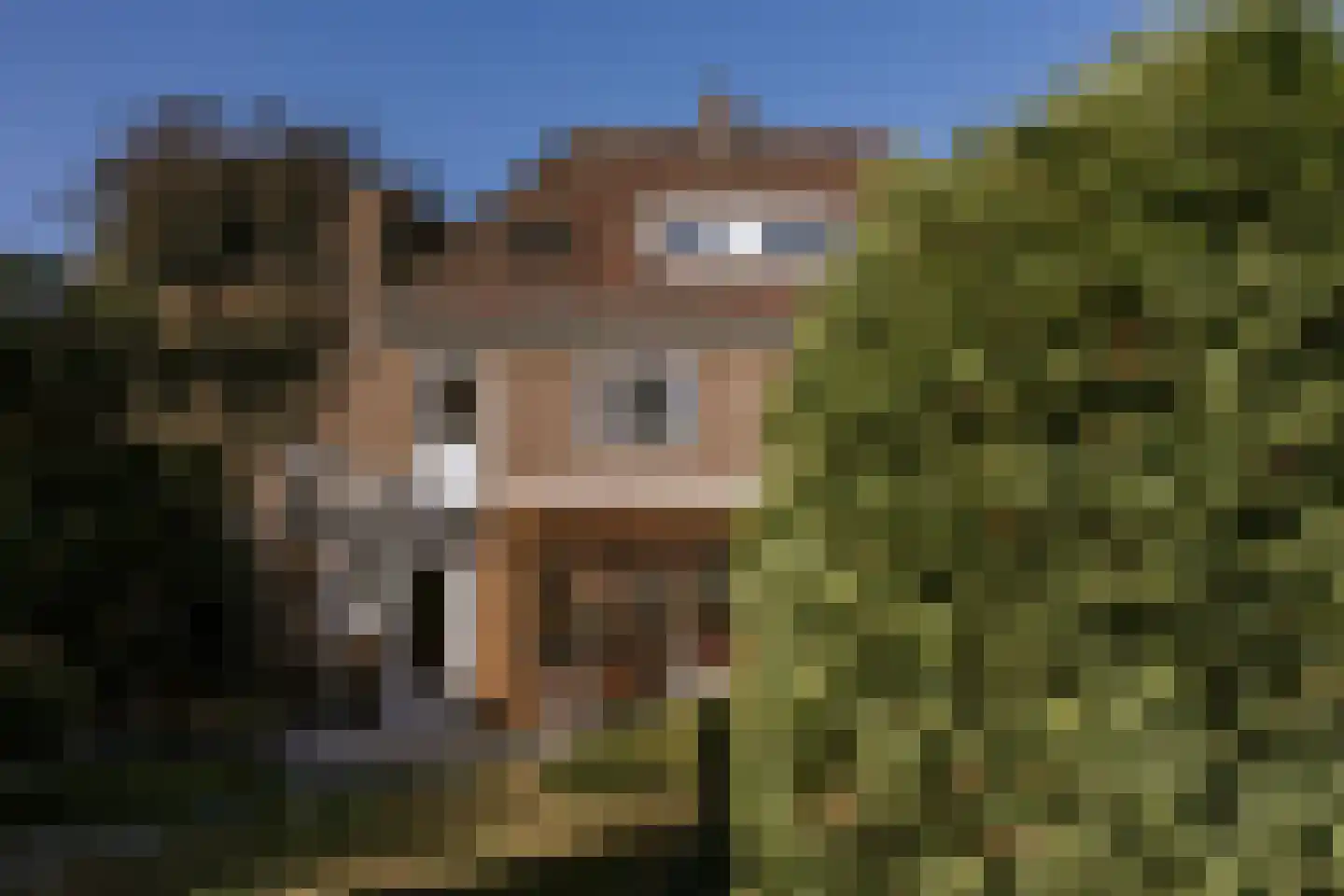 Wilhelminalaan 88 Roermond thumbnail 5