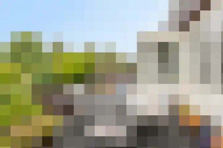 Wilhelminalaan 9 Alkmaar thumbnail 24