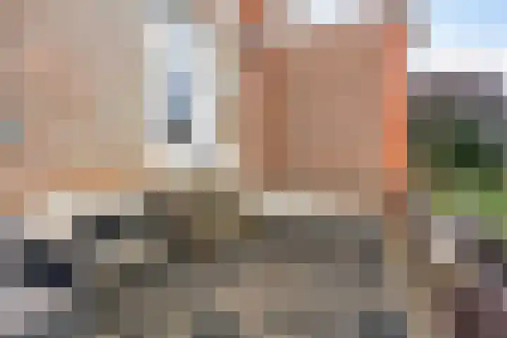 Wilhelminalaan 9 Alkmaar thumbnail 39