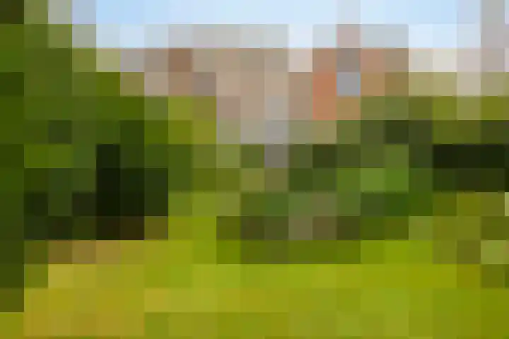 Wilhelminalaan 9 Alkmaar thumbnail 4