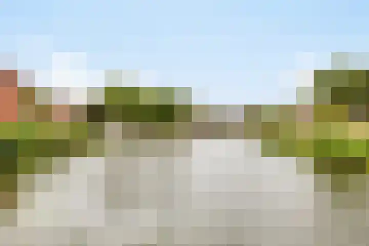 Wilhelminalaan 9 Alkmaar thumbnail 5