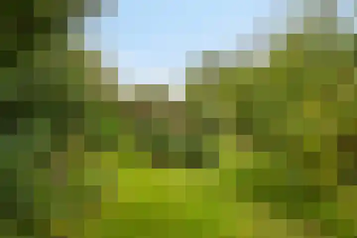 Wilhelminalaan 9 Alkmaar thumbnail 56
