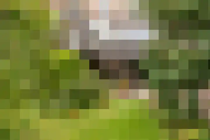 Wilhelminalaan 9 Alkmaar thumbnail 58