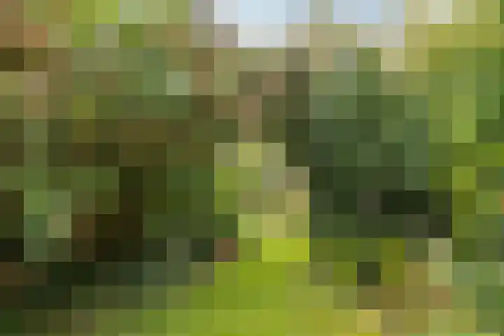 Wilhelminalaan 9 Alkmaar thumbnail 61