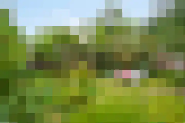 Wilhelminalaan 9 Alkmaar thumbnail 62