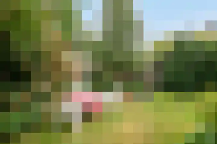 Wilhelminalaan 9 Alkmaar thumbnail 63