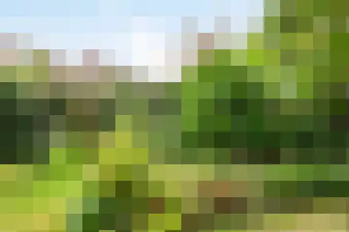 Wilhelminalaan 9 Alkmaar thumbnail 64