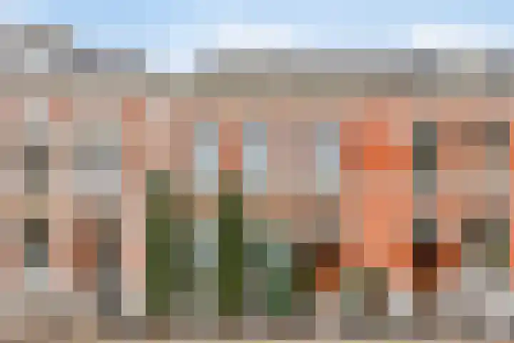 Wilhelminalaan 9 Alkmaar thumbnail 66