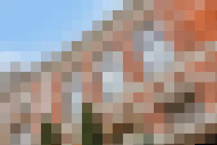 Wilhelminalaan 9 Alkmaar thumbnail 67