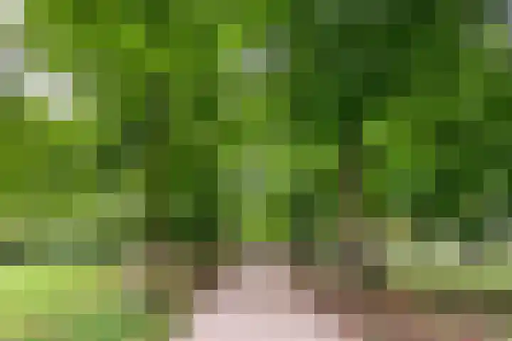 Wilhelminalaan 9 Alkmaar thumbnail 69
