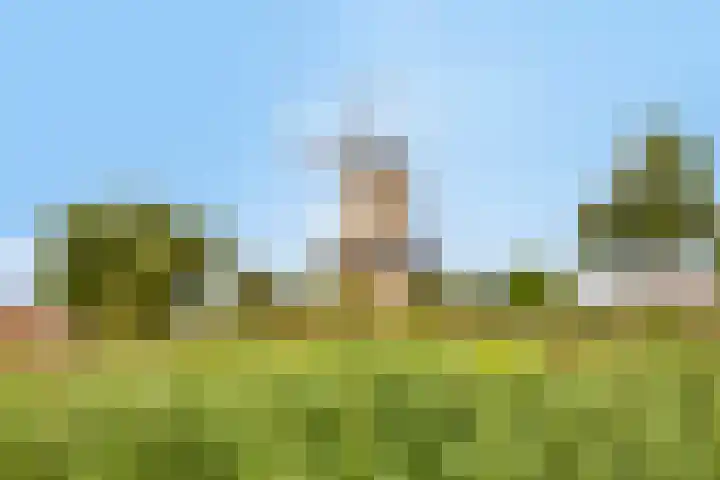 Wilhelminalaan 9 Alkmaar thumbnail 70