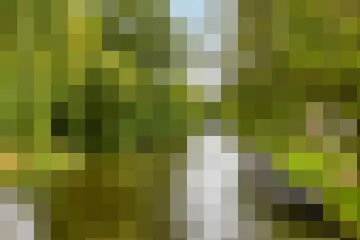 Wilhelminalaan 9 Alkmaar thumbnail 73