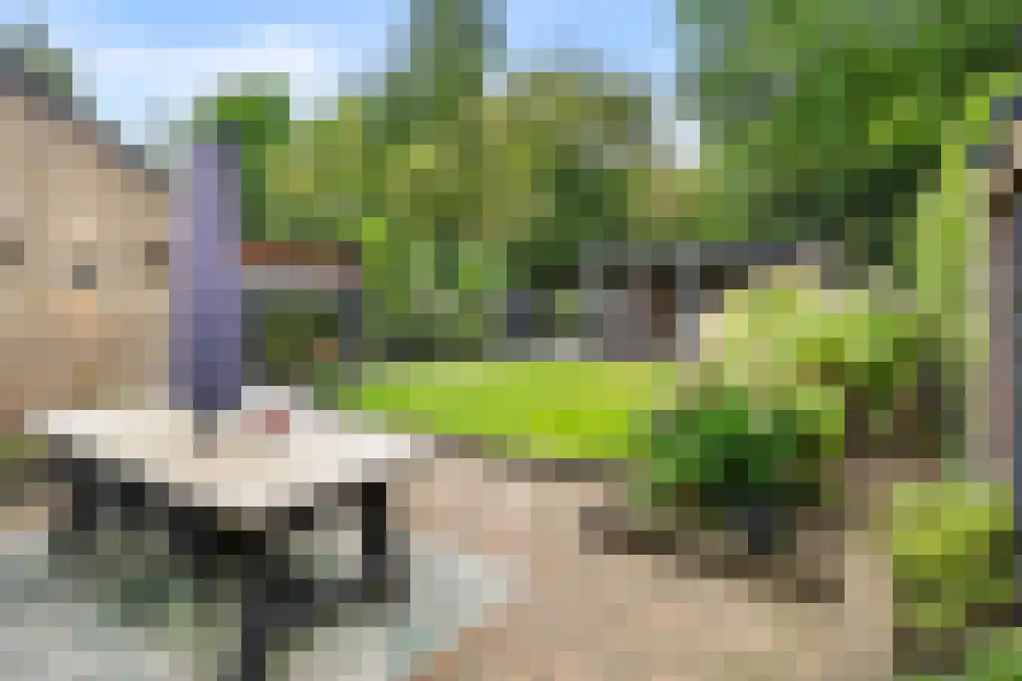 Wilhelminalaan 9 Bennekom thumbnail 13