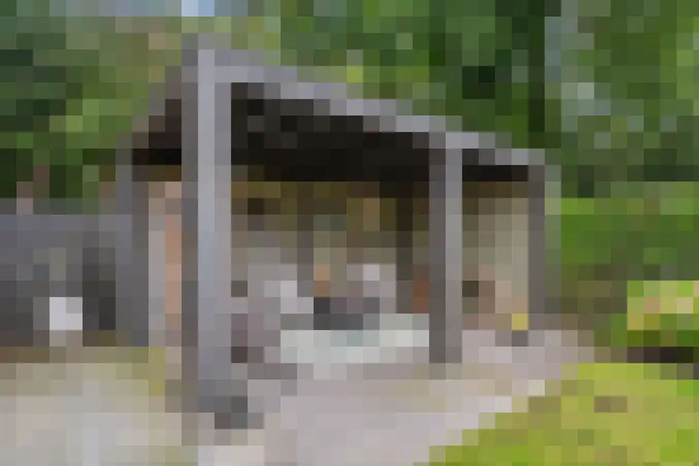 Wilhelminalaan 9 Bennekom thumbnail 16