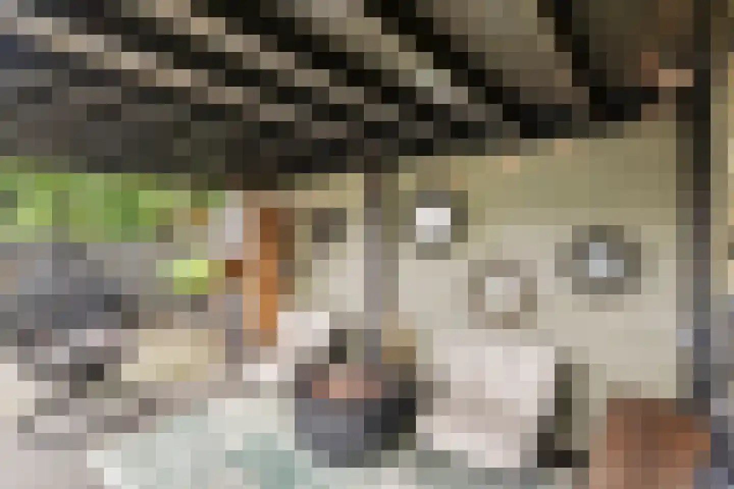 Wilhelminalaan 9 Bennekom thumbnail 17