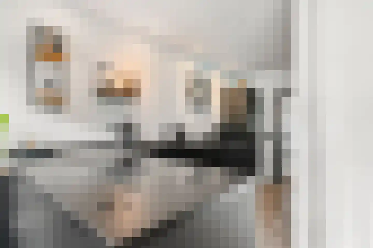 Wilhelminalaan 9 Bennekom thumbnail 30