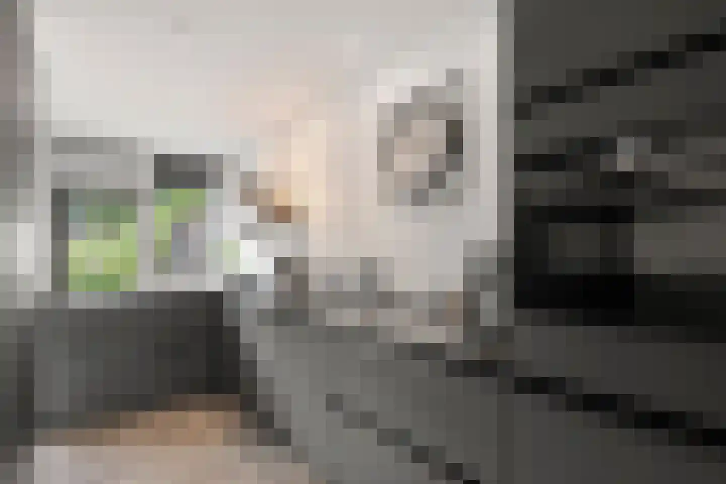 Wilhelminalaan 9 Bennekom thumbnail 31